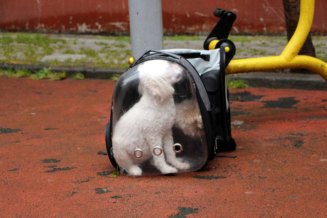 Şişli'de panik anları: Yer altı kabloları yandı, rögar patladı 7