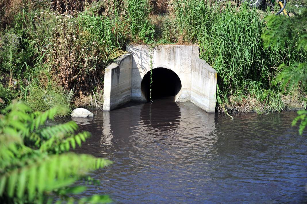 'O senenin moda rengi neyse, Nilüfer Çayı da o renk akıyor' 6