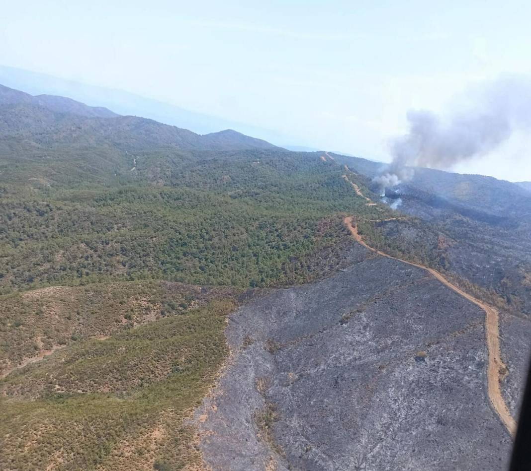 Marmaris yangını: Yüzlerce hektarlık orman kül oldu, beş ayrı noktada ilerliyor 9