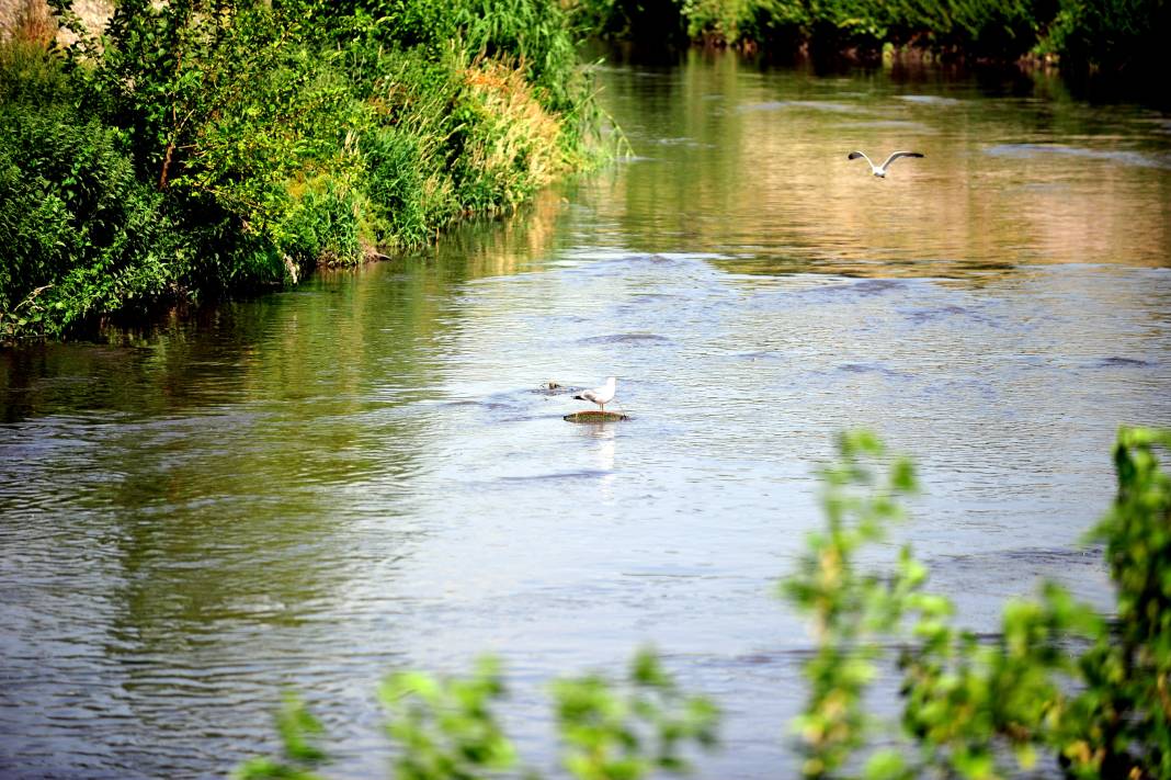 'O senenin moda rengi neyse, Nilüfer Çayı da o renk akıyor' 7