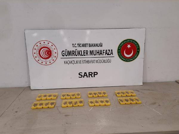 Otobüste arı operasyonu: 32 kraliçe, 288 işçi bulundu 4