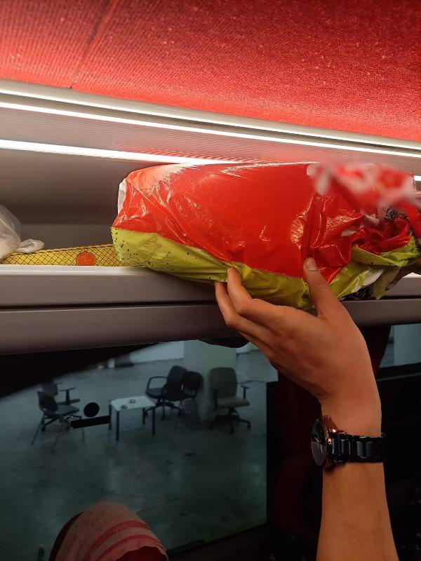 Otobüste arı operasyonu: 32 kraliçe, 288 işçi bulundu 1