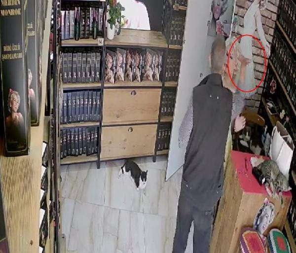 Mardin'de 'Marilyn Monroe'ya tokatlı saldırı 1