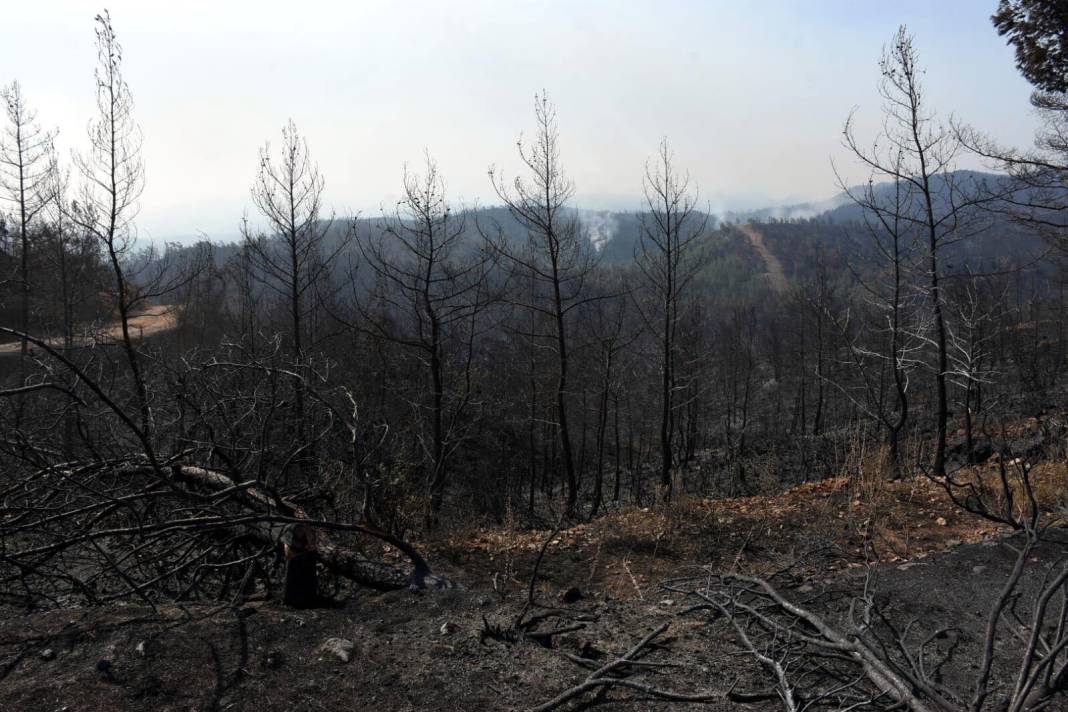 Marmaris yangını: Yüzlerce hektarlık orman kül oldu, beş ayrı noktada ilerliyor 2