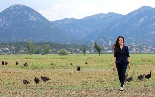 2 bin hindi meraya çıktı, bir haftada 500 milyon istilacı çekirge yedi 7