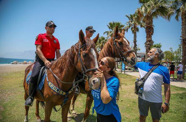 Yılkı atları kafa dinledi, polis atları gürültü eğitiminden geçti 15