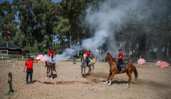 Yılkı atları kafa dinledi, polis atları gürültü eğitiminden geçti 12