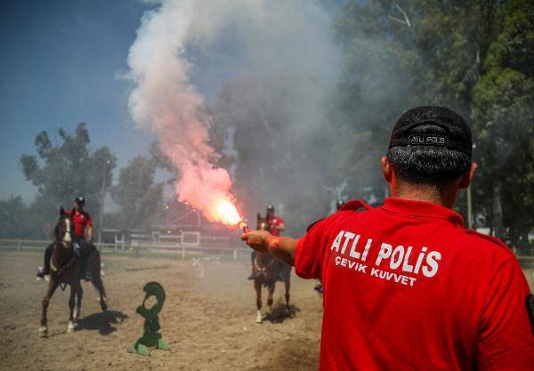 Yılkı atları kafa dinledi, polis atları gürültü eğitiminden geçti 6