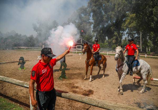Yılkı atları kafa dinledi, polis atları gürültü eğitiminden geçti 5
