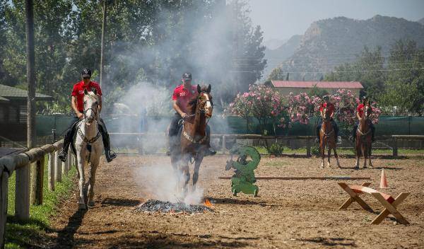 Yılkı atları kafa dinledi, polis atları gürültü eğitiminden geçti 4