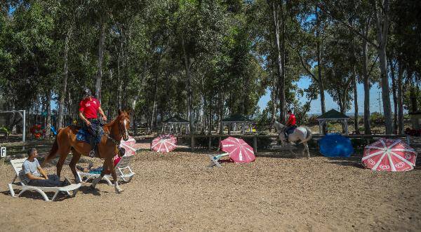 Yılkı atları kafa dinledi, polis atları gürültü eğitiminden geçti 3