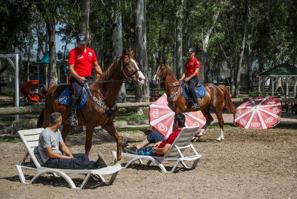 Yılkı atları kafa dinledi, polis atları gürültü eğitiminden geçti 2