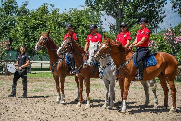 Yılkı atları kafa dinledi, polis atları gürültü eğitiminden geçti 1