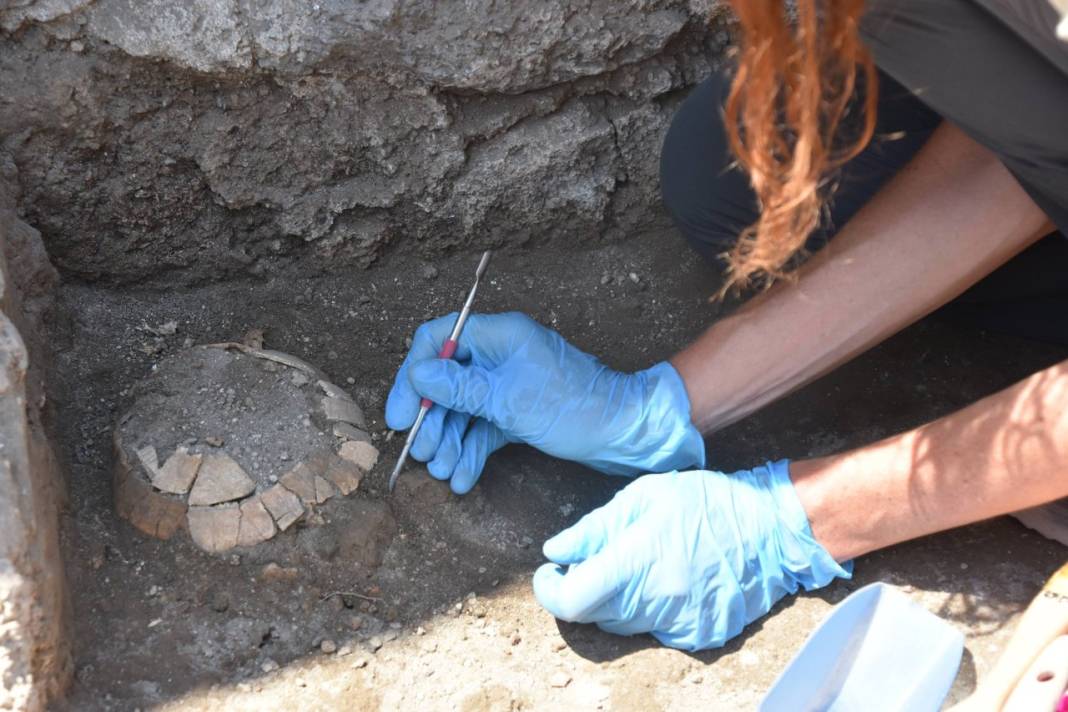Pompeii'de yeni keşif: Bir kaplumbağa ile yumurtasının kalıntıları bulundu 5