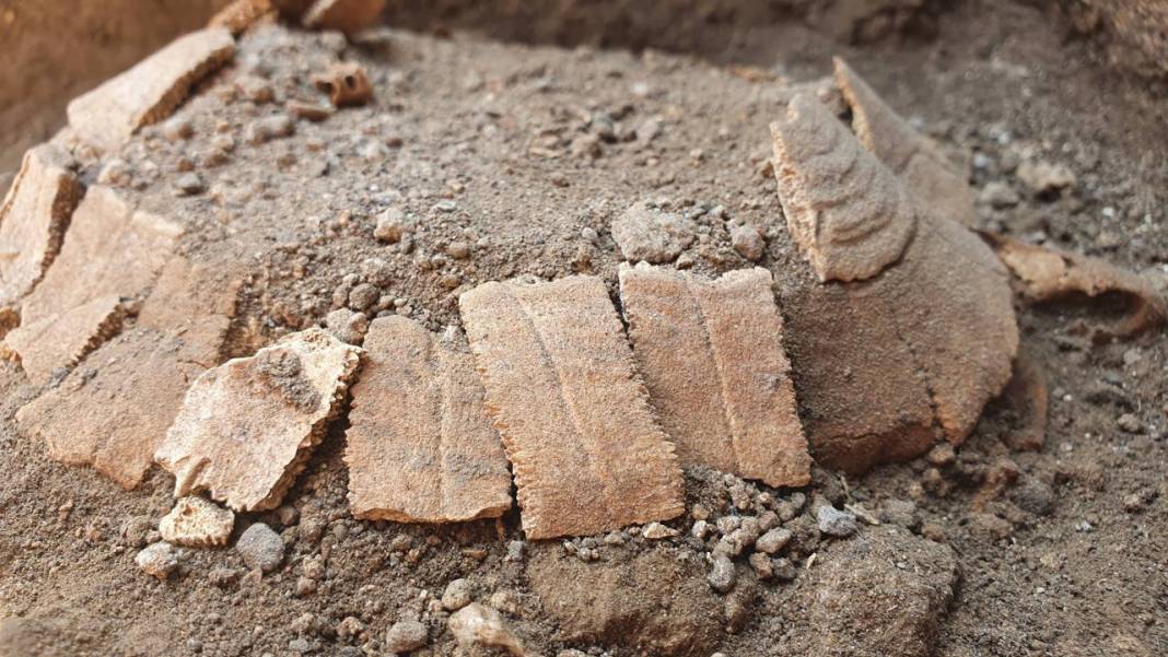 Pompeii'de yeni keşif: Bir kaplumbağa ile yumurtasının kalıntıları bulundu 4