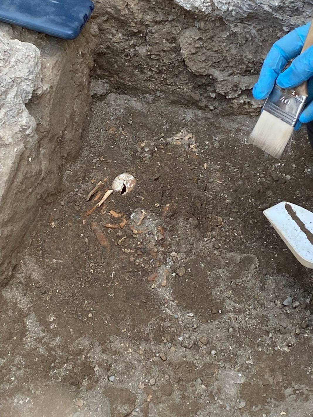 Pompeii'de yeni keşif: Bir kaplumbağa ile yumurtasının kalıntıları bulundu 8