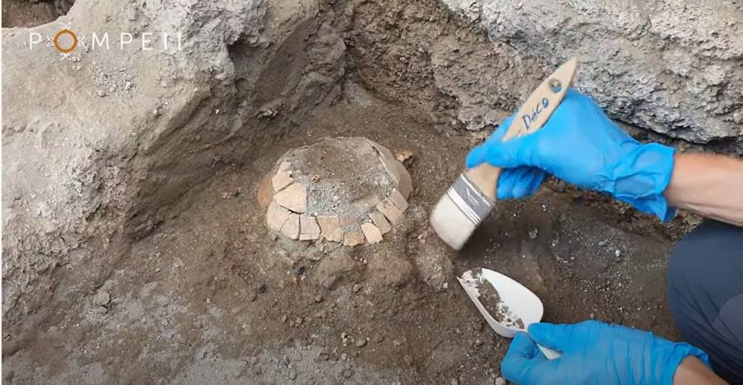 Pompeii'de yeni keşif: Bir kaplumbağa ile yumurtasının kalıntıları bulundu 1