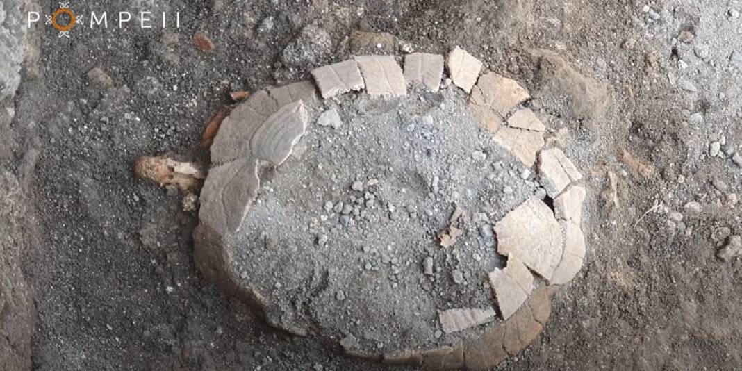 Pompeii'de yeni keşif: Bir kaplumbağa ile yumurtasının kalıntıları bulundu 2