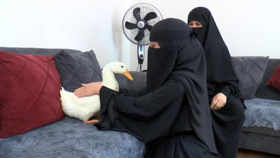 Bahçeşehir'de göletteki ördekleri çaldığı iddia edilen kadın konuştu 6