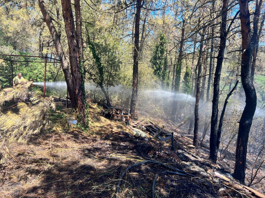 Beykoz'da orman yangını söndürüldü: 'Felaket olabilirdi' 2