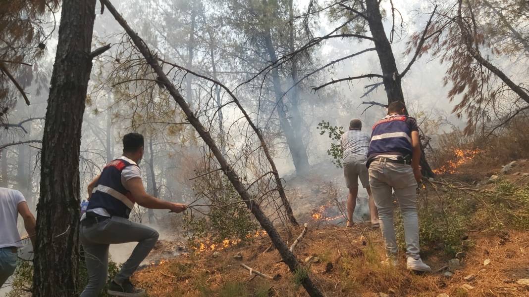 Datça'da orman yangını: Alevler Hayıtbükü sahil yoluna ulaştı 3