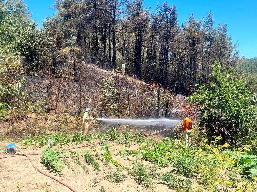 Beykoz'da orman yangını söndürüldü: 'Felaket olabilirdi' 3