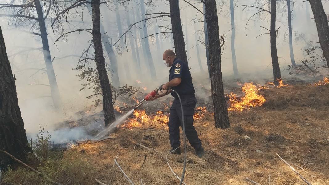 Datça'da orman yangını: Alevler Hayıtbükü sahil yoluna ulaştı 4