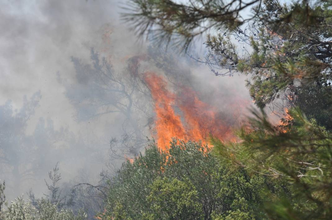 Datça'da orman yangını: Alevler Hayıtbükü sahil yoluna ulaştı 2