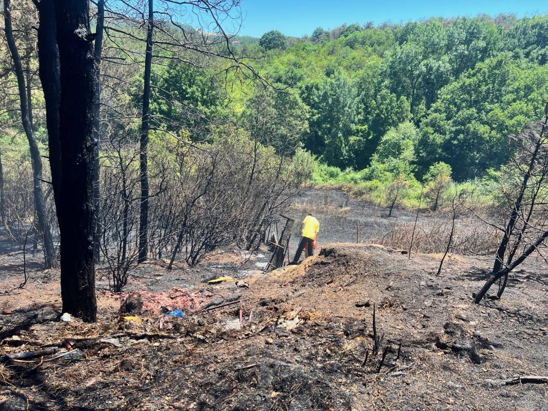 Beykoz'da orman yangını söndürüldü: 'Felaket olabilirdi' 1