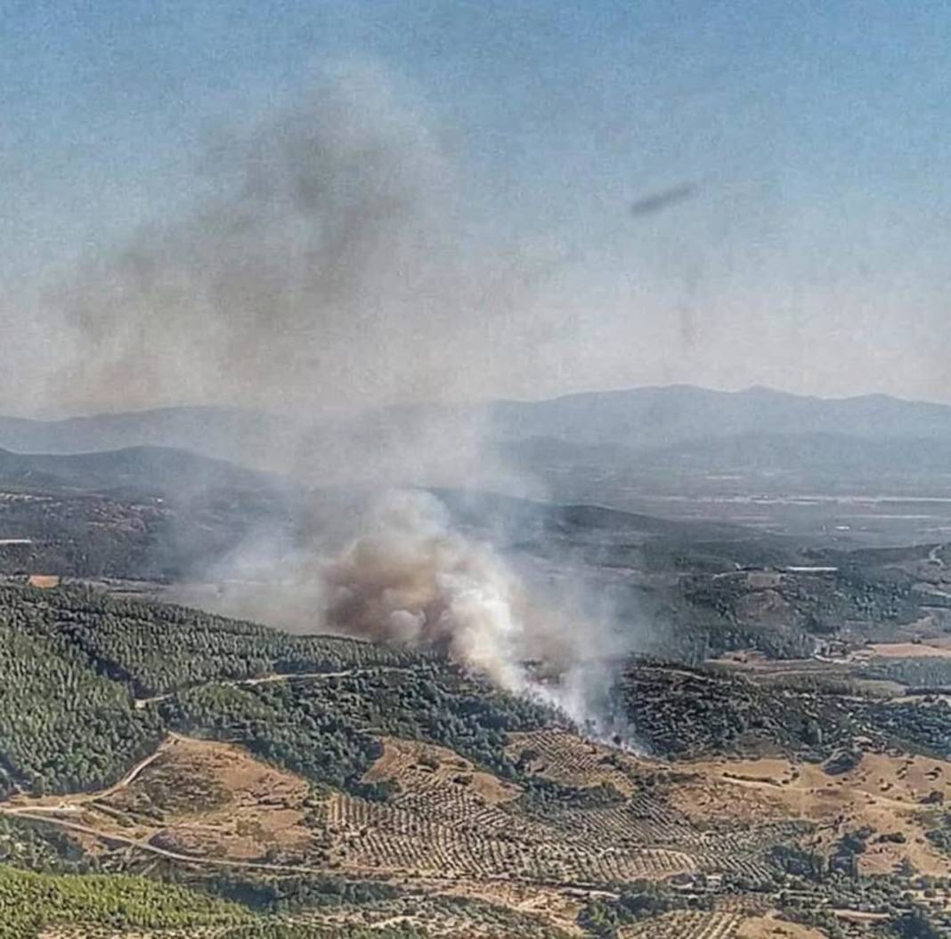 Türkiye'de üç ilde orman yangını çıktı: Manisa, Muğla ve Kütahya yanıyor 2