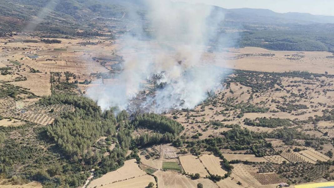 Türkiye'de üç ilde orman yangını çıktı: Manisa, Muğla ve Kütahya yanıyor 3