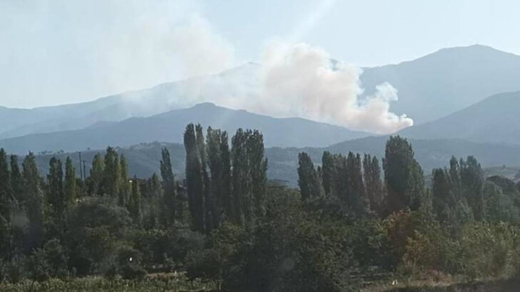 Türkiye'de üç ilde orman yangını çıktı: Manisa, Muğla ve Kütahya yanıyor 5