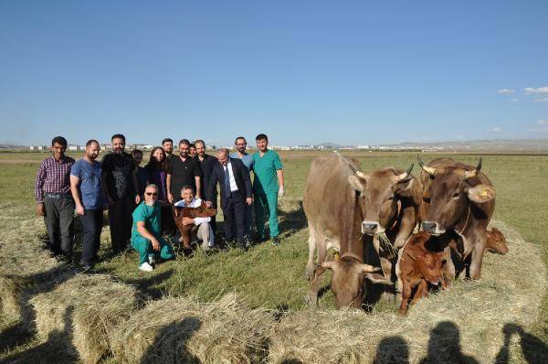 Aslen Teksaslılar, doğma büyüme Karslılar: Kafkas Gülü, Anadolu ve Sarp 4