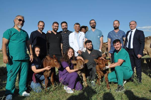 Aslen Teksaslılar, doğma büyüme Karslılar: Kafkas Gülü, Anadolu ve Sarp 3