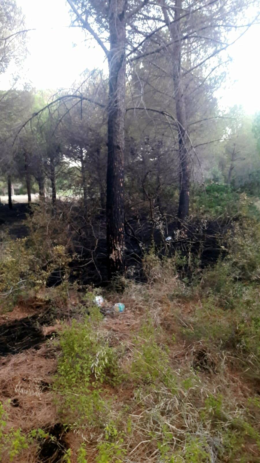 Datça'da orman yangını sigara izmaritinden çıkmış 2