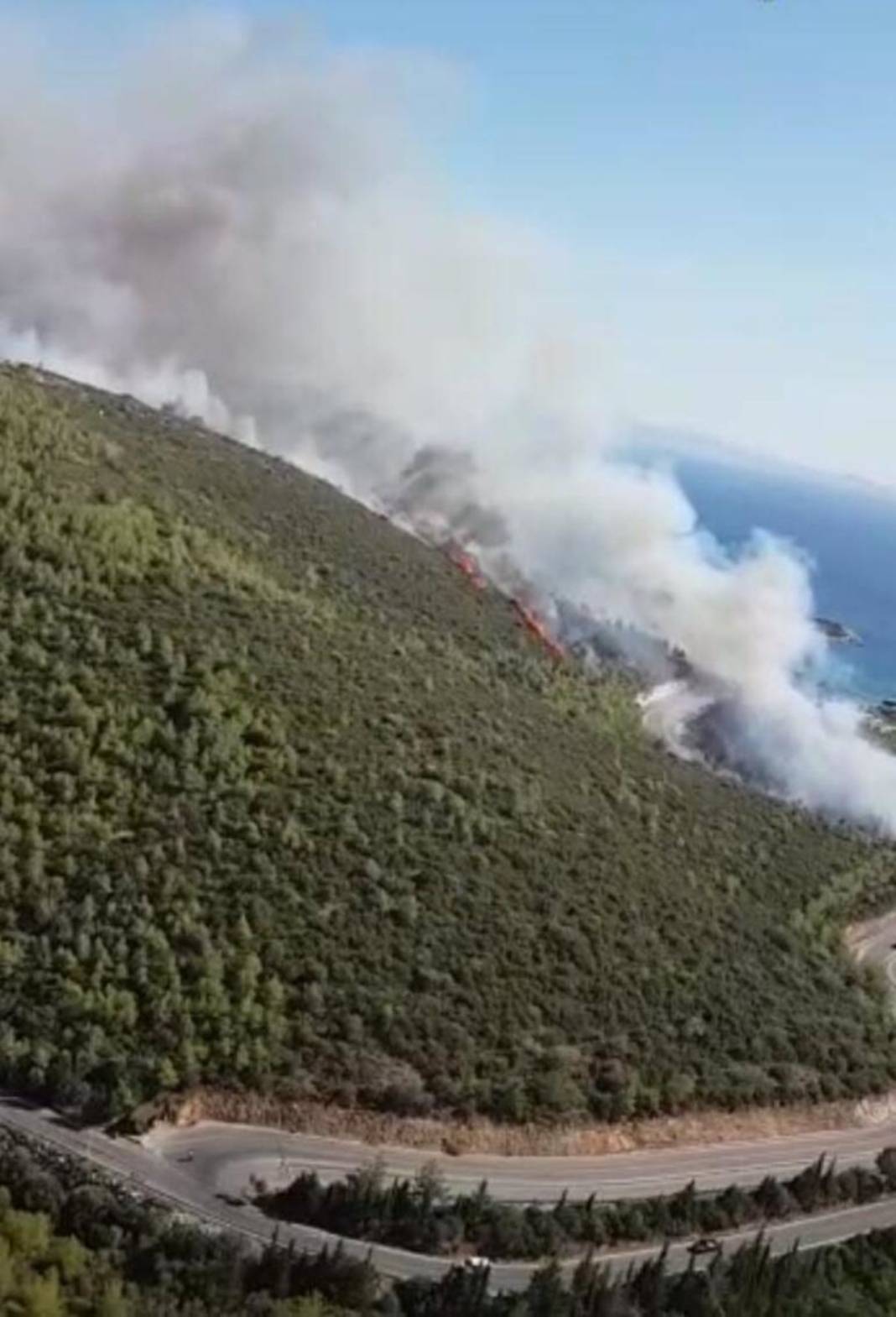 Muğla'da orman yangını: Havadan ve karadan müdahale ediliyor 2