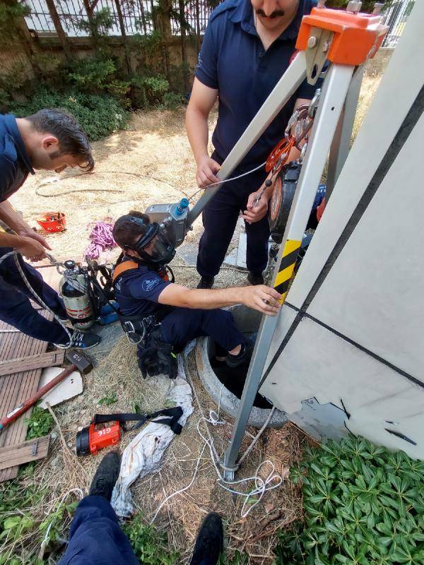 Yavru kedi kurtarma operasyonu: 10 gün sürdü, mutlu sonla bitti 4