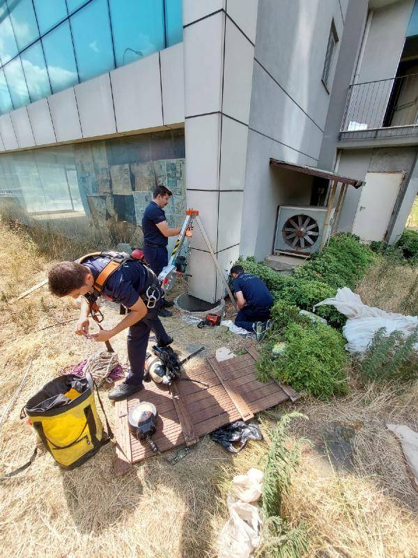 Yavru kedi kurtarma operasyonu: 10 gün sürdü, mutlu sonla bitti 3