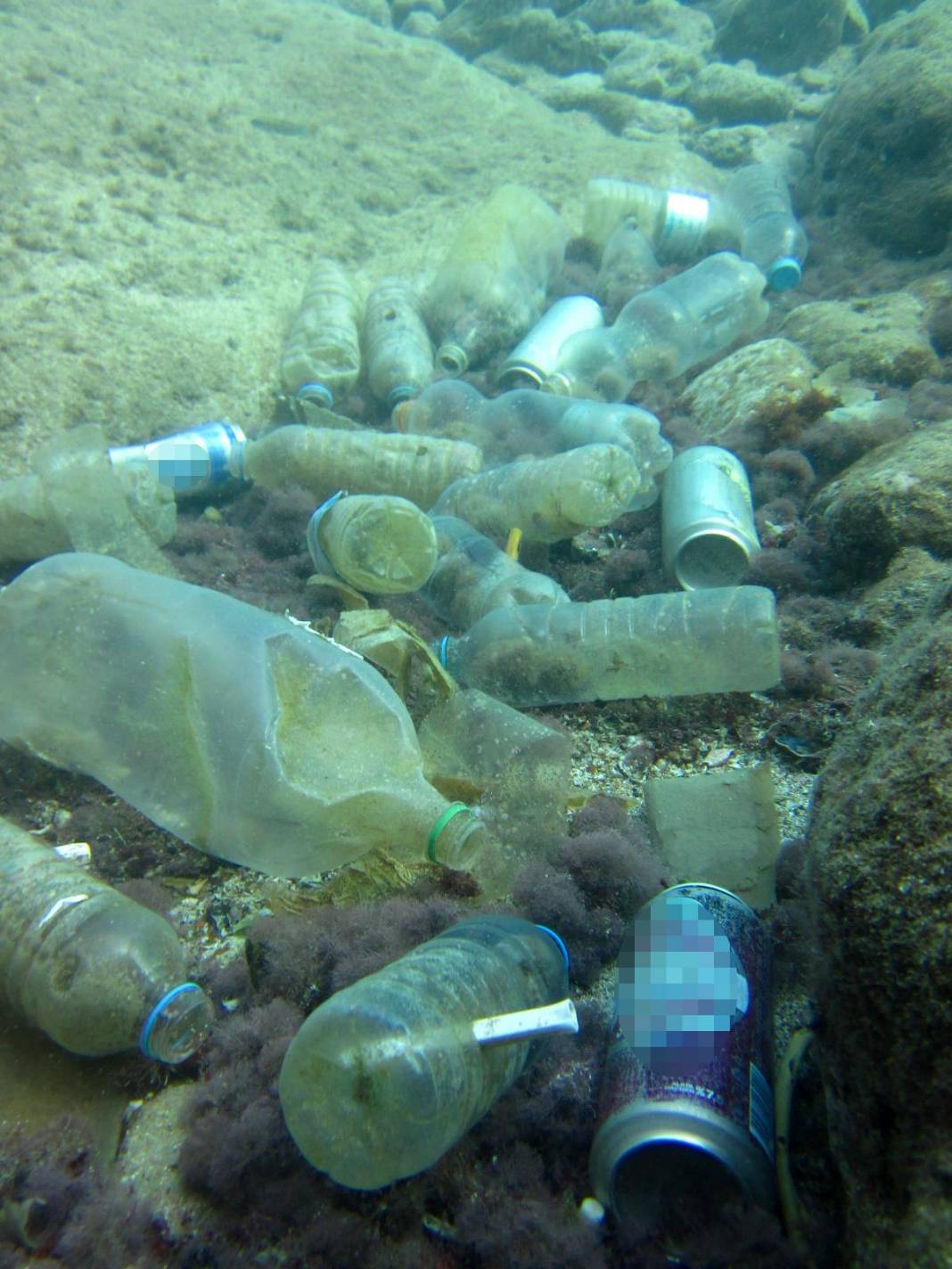 Antalya'da su altı kirliliği görüntülendi 7