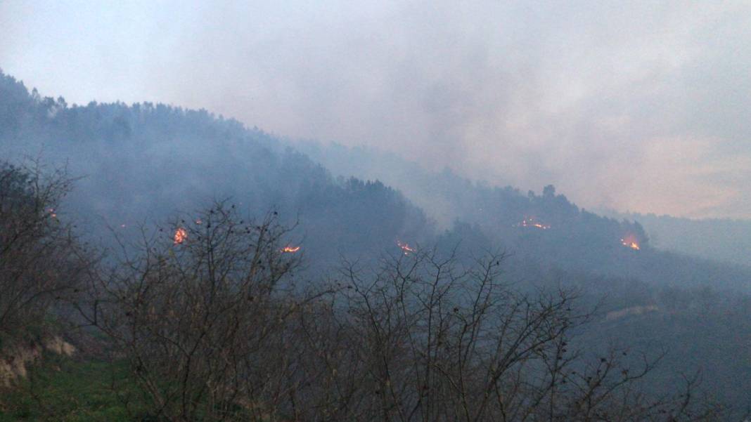 Karasu'da çıkan yangın çam ormanına sıçradı 2