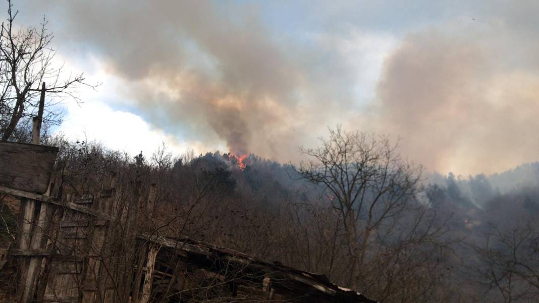 Karasu'da çıkan yangın çam ormanına sıçradı 6