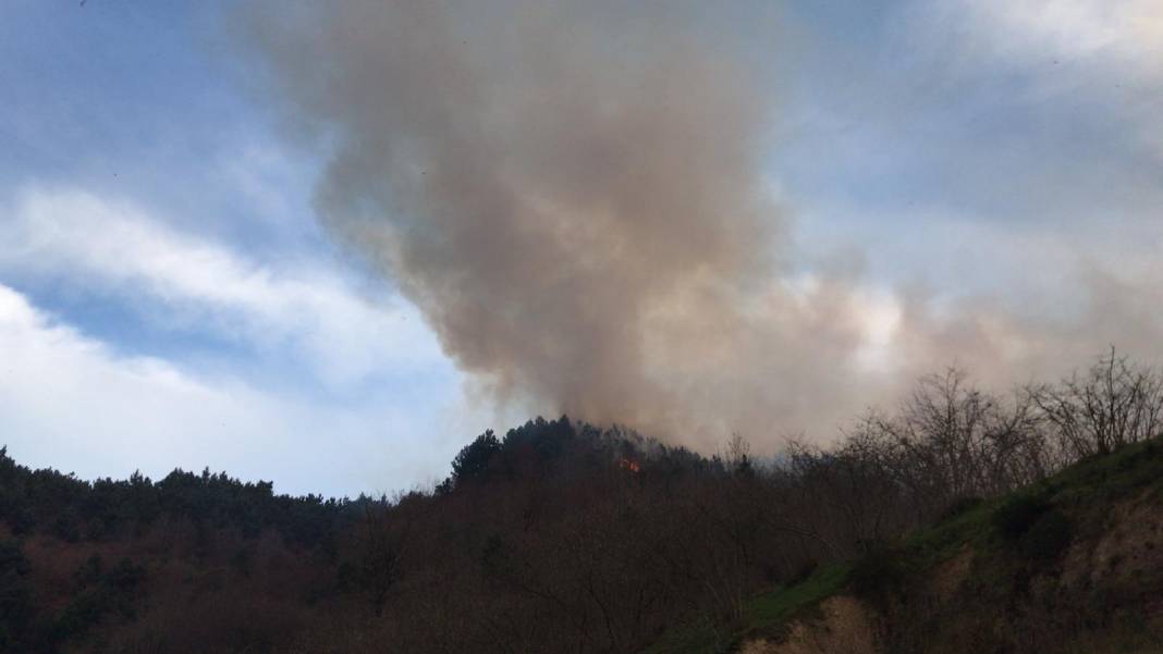 Karasu'da çıkan yangın çam ormanına sıçradı 5