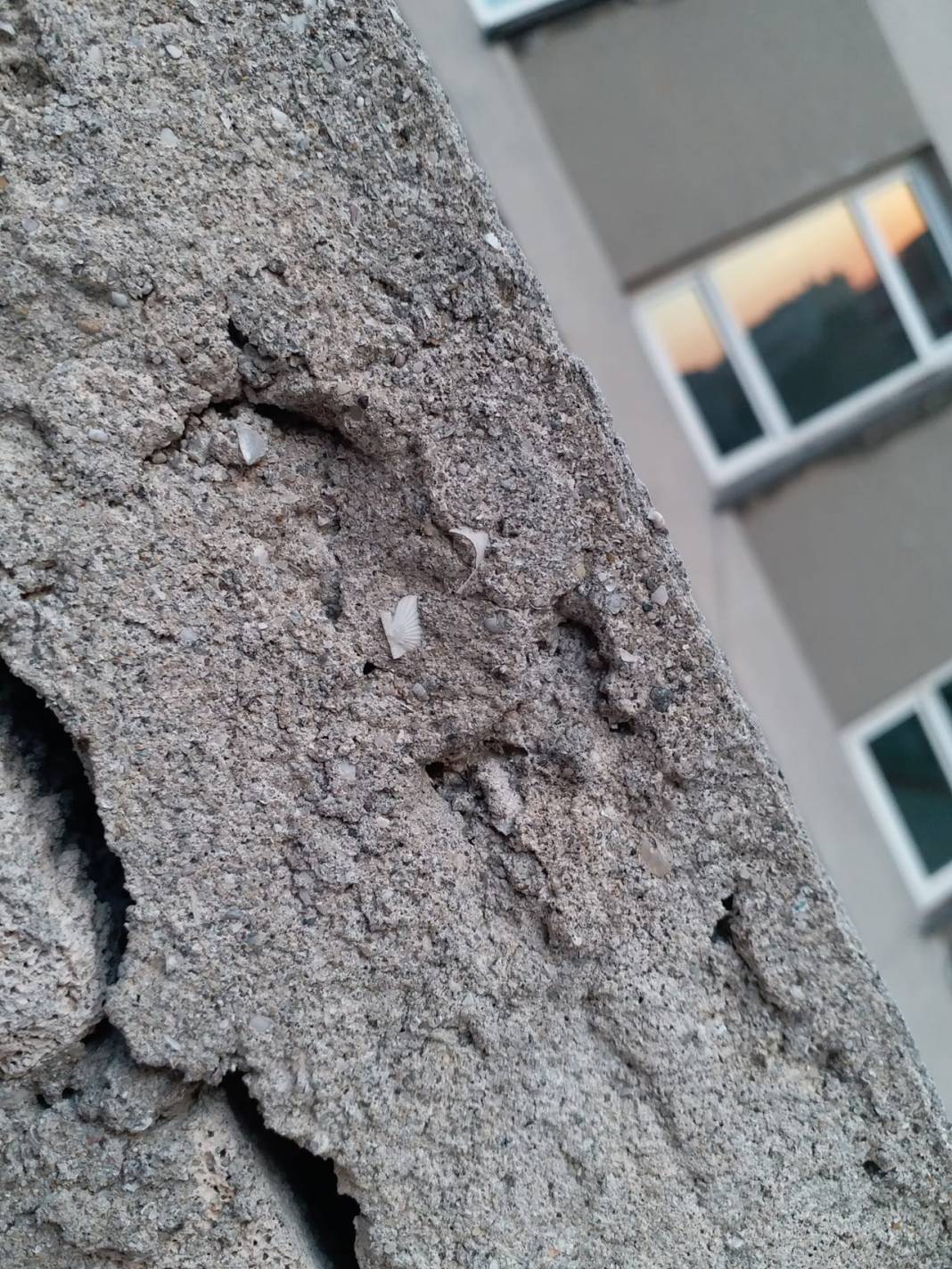 İstanbul'da üniversite hastanesinin binaları 'alarm' veriyor 2