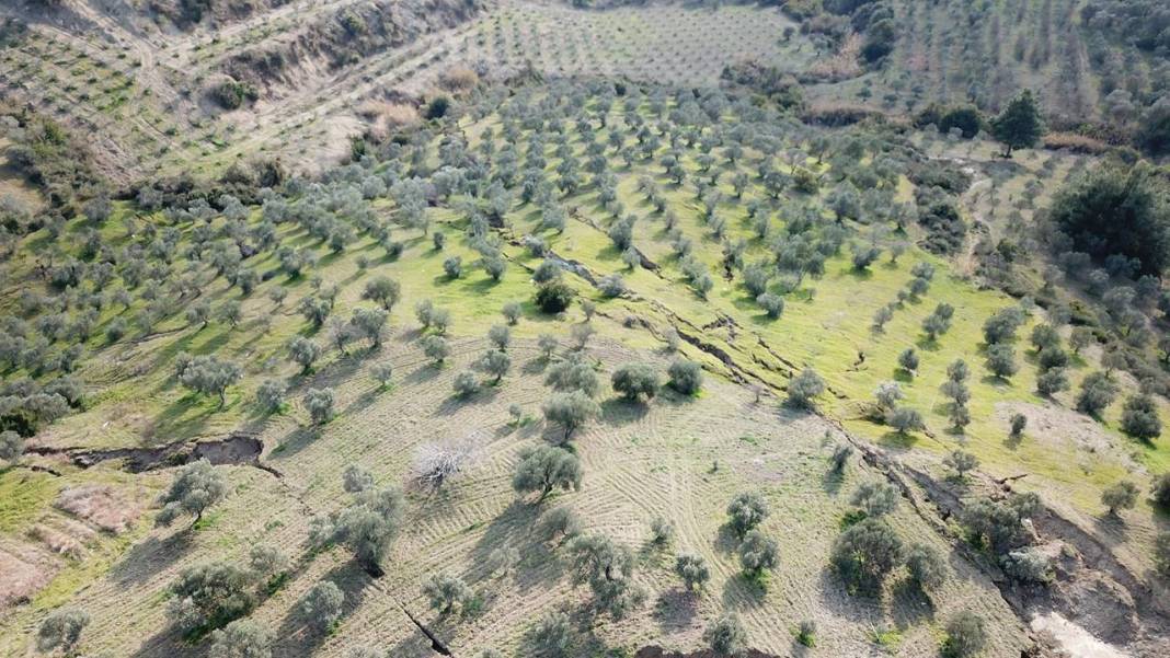 Deprem sonrası Defne'de dev yarıklar 6