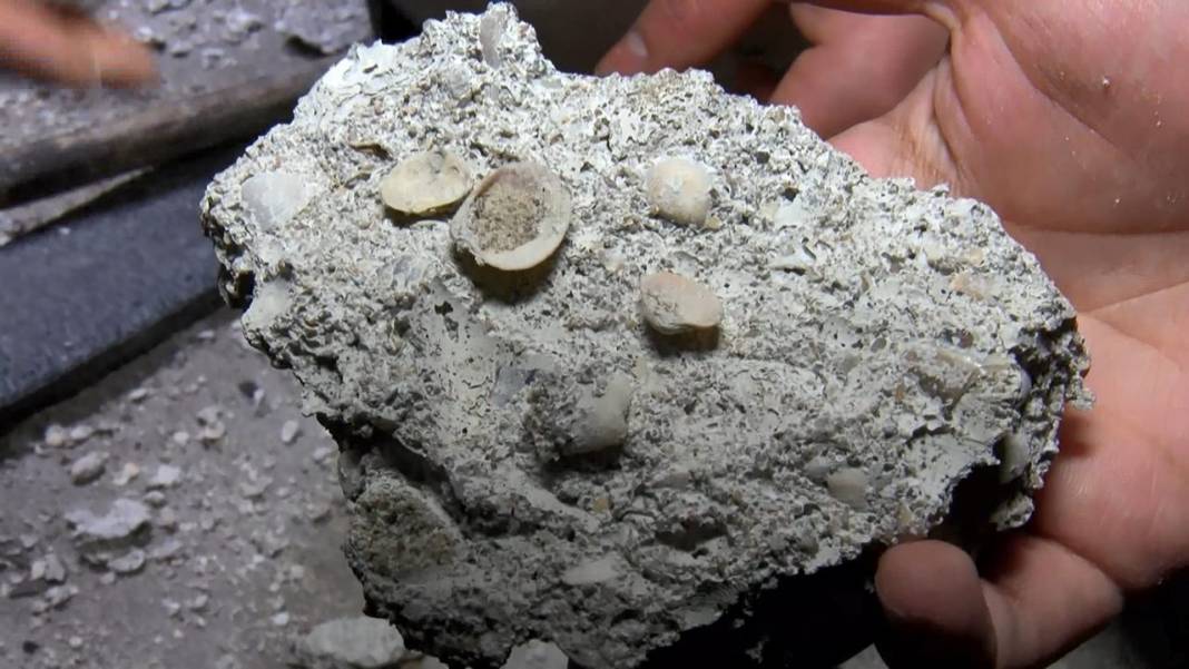 İstanbul'dan bina manzaraları: Duvarlarında çatlaklar var, demirleri dışarı fırlamış 7