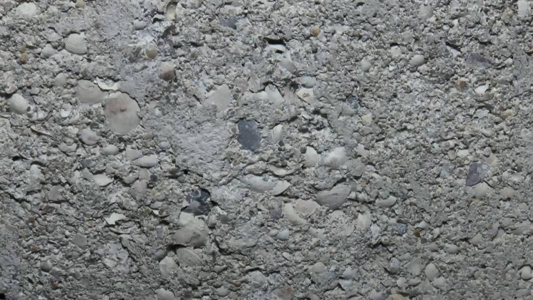 İstanbul'dan bina manzaraları: Duvarlarında çatlaklar var, demirleri dışarı fırlamış 3