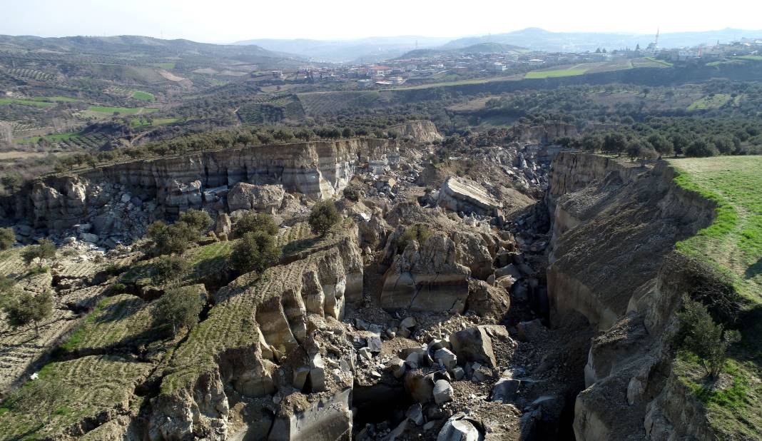 Deprem zeytinliği ikiye böldü; 50 metre genişliğinde vadi oluştu 7