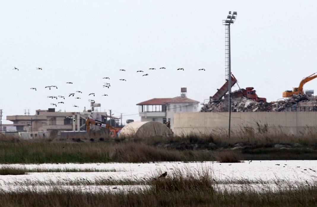 Göçmen kuşlar, depremin yıktığı Hatay'dan Türkiye'ye giriş yapıyor; ilk kez görüntülenenler var 2