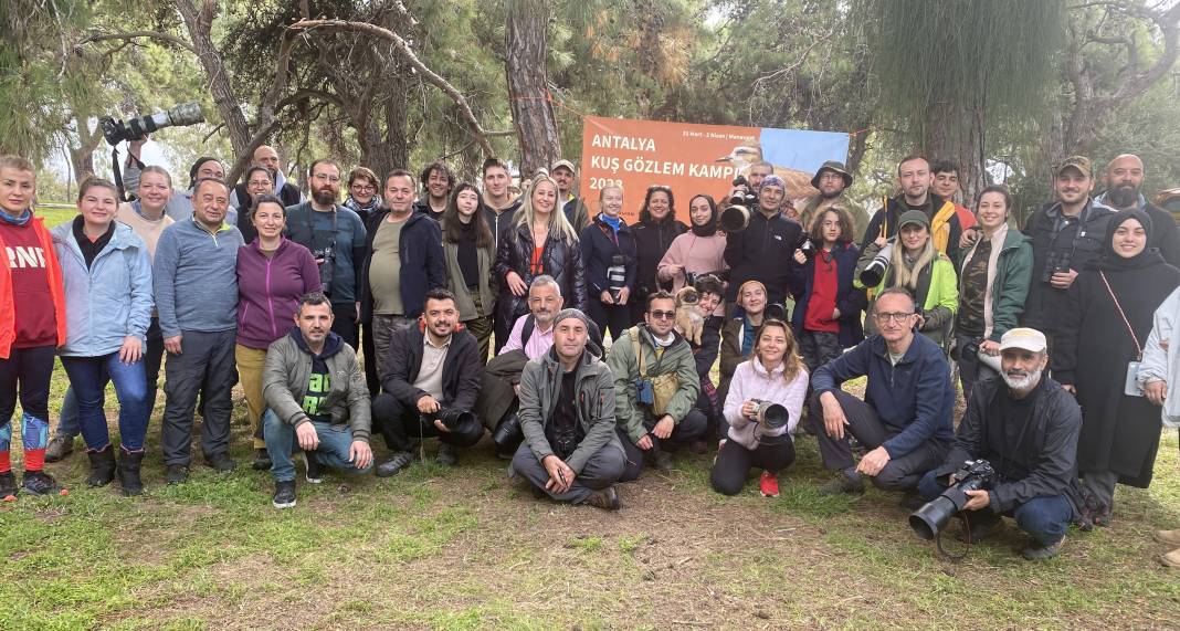 Kuş göçünde 3 günde 130 tür görüntülendi: işte birbirinden güzel fotoğraflar 2