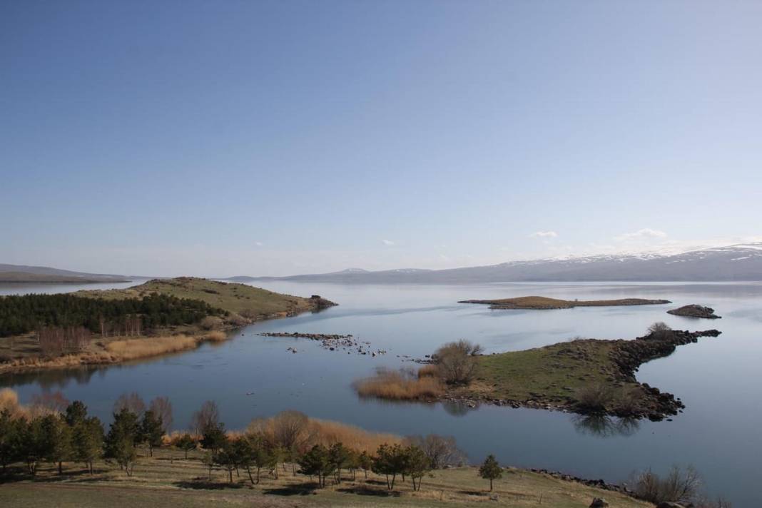 Buzları eriyen Çıldır Gölü, kuş cennetine döndü 7